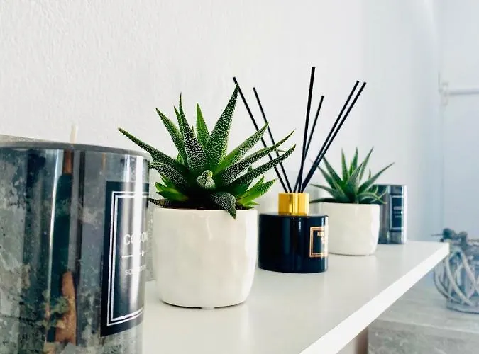 Nostos Ii Dhragoulas